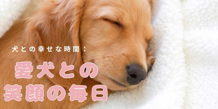 カワイイがいっぱい！ワンダーランド